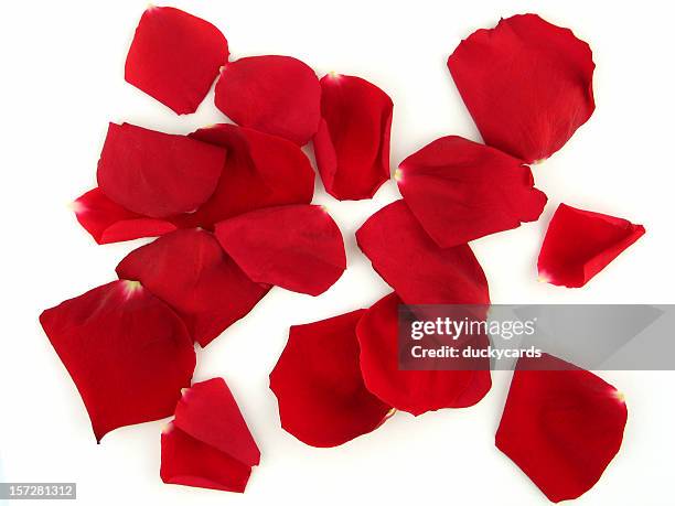 red rose petals - red rose pattern stock pictures, royalty-free photos & images