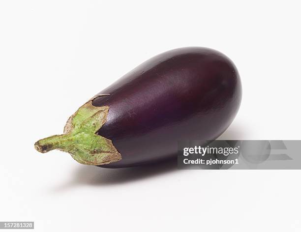 a fresh eggplant with a white background - aubergine bildbanksfoton och bilder