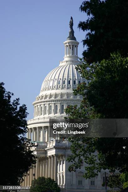 capitol hill, washington d.c. - washington dc summer stock pictures, royalty-free photos & images