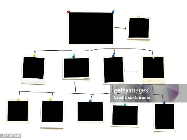 crime family organization chart - stamboom stockfoto's en -beelden