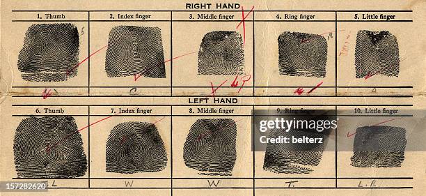 fingerprints - forensisch stockfoto's en -beelden