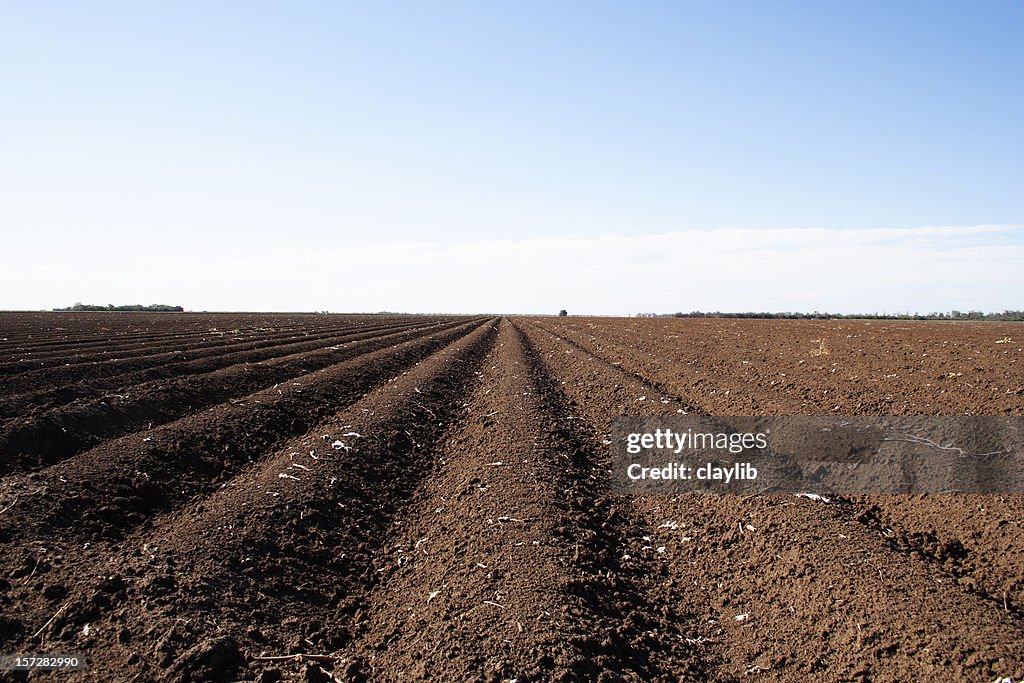 Broad acre cotton farming