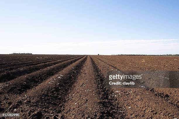 broad acre cotton farming - cottonfield stock pictures, royalty-free photos & images