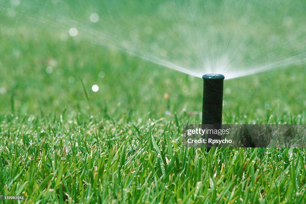 Pop up grass sprinkler over a green lawn
