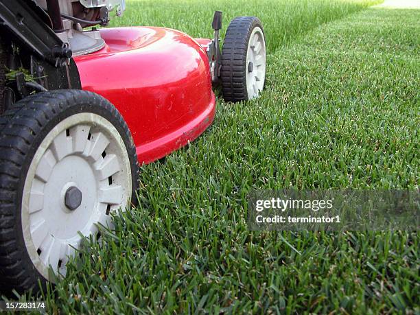 mowing the grass - grasmaaier stockfoto's en -beelden