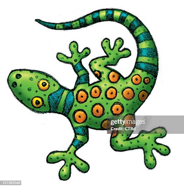 grüner leguan alebrije - geckos stock-grafiken, -clipart, -cartoons und -symbole