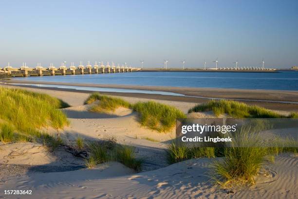 oosterscheldedam dunes at night - neeltje jans stock pictures, royalty-free photos & images