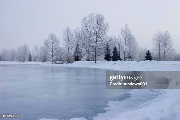 frozen pond - pond stock pictures, royalty-free photos & images