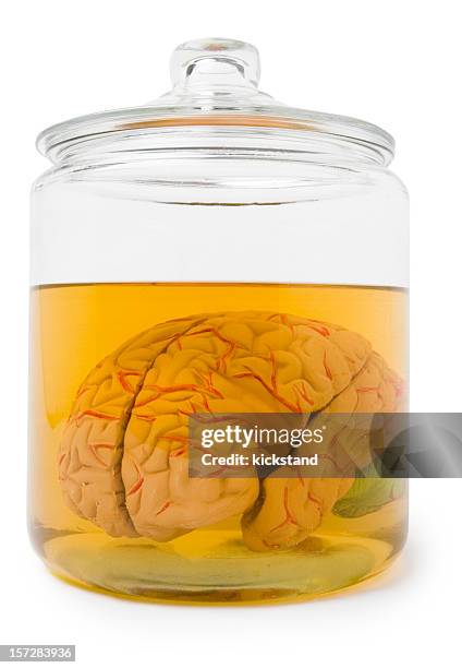 brain in a jar with clipping path - brain in a jar stock pictures, royalty-free photos & images