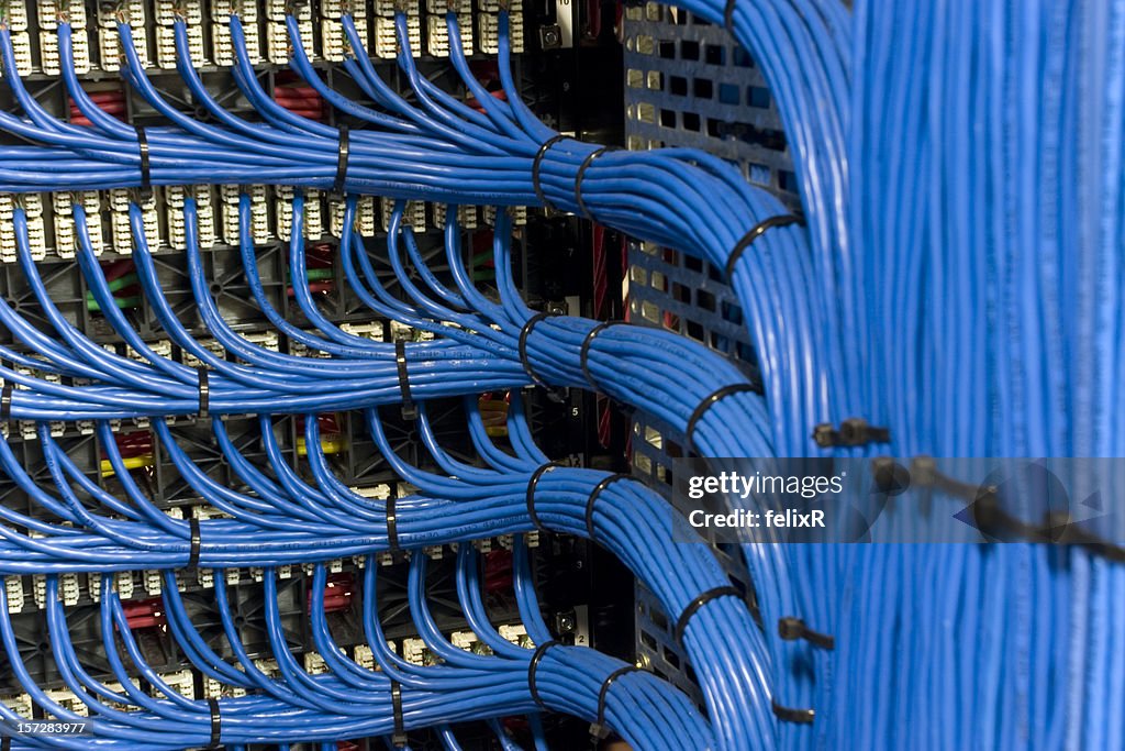 Câbles réseau bleu