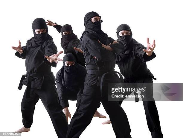 315 Funny Ninja Images Photos and Premium High Res Pictures - Getty Images