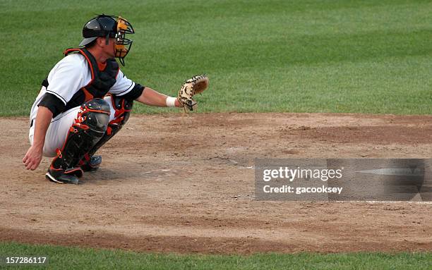 ready catcher - baseball catcher stock pictures, royalty-free photos & images