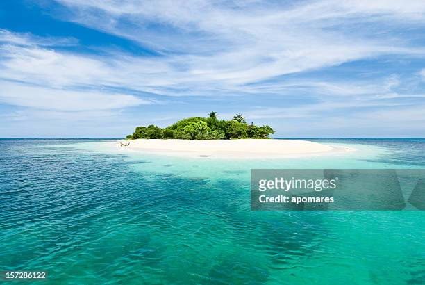 lonely tropical island in the caribbean - tropical island stockfoto's en -beelden