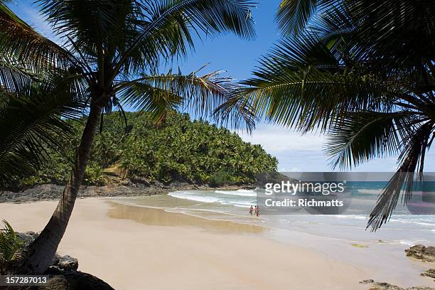 palm trees along the sands of a tropical beach in brazil - temptation stock pictures, royalty-free photos & images