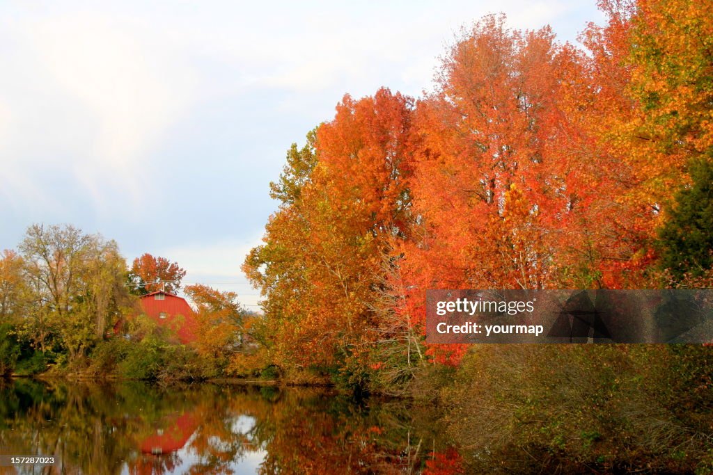 Fall colors at Arkansas Lake