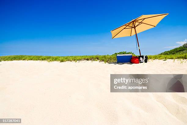 tropical white sand beach with umbrella - ice bucket stockfoto's en -beelden
