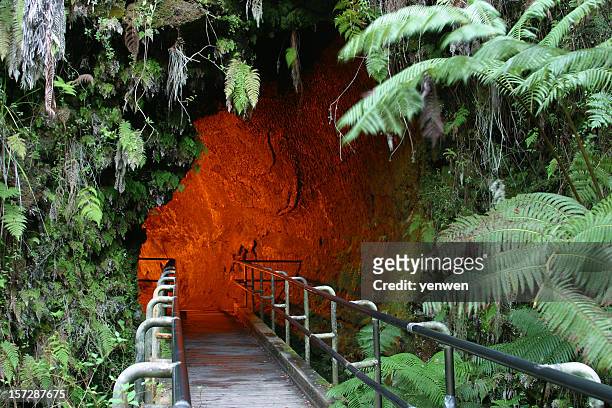 hawaii lava tube - hawaii volcanoes national park stock pictures, royalty-free photos & images