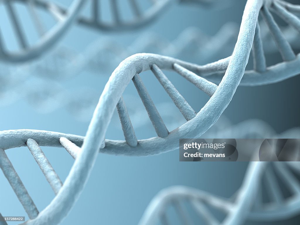 DNA Strands