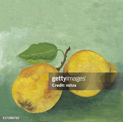 Two quinces Two quinces