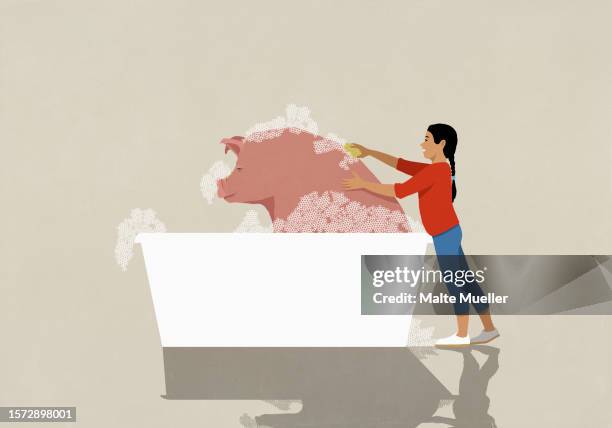 girl giving pet pig a bubble bath, washing bag with sponge - pig stock illustrations