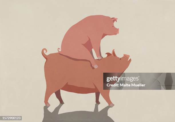 pink pig freeloading, piggybacking - pig stock illustrations