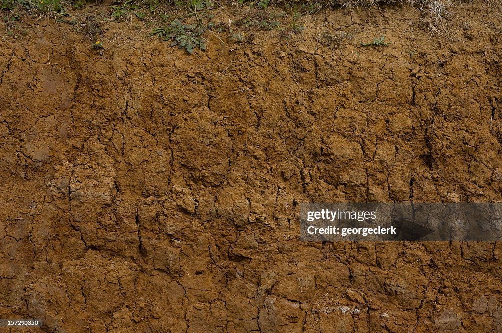 Muddy sección transversal primer plano