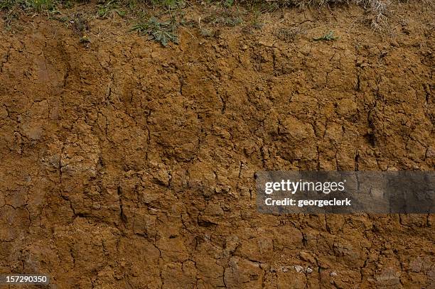 muddy sección transversal primer plano - loam fotografías e imágenes de stock