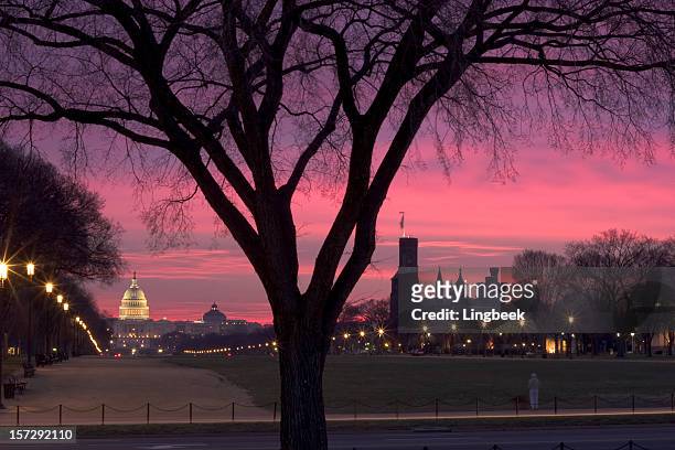 washington dc sunrise - the mall stock pictures, royalty-free photos & images