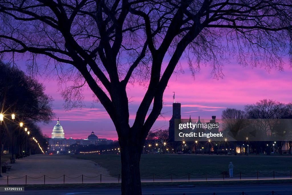 Washington DC Sunrise