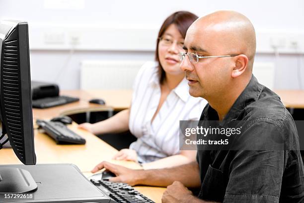 adult education: mature adults working together in an office environment - hairless mouse stock pictures, royalty-free photos & images
