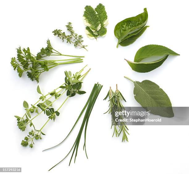 circular arrangement of various herbs, isolated on white - kruid stockfoto's en -beelden