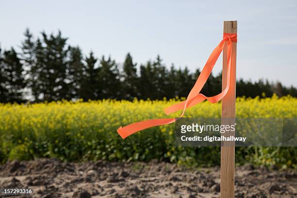 survey stake - ground stock pictures, royalty-free photos & images