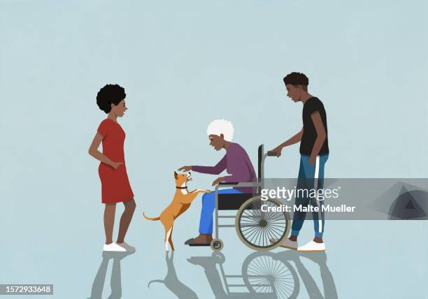 adult children watching senior mother in wheelchair playing with dog - fond stock illustrations