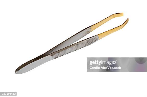 pinça de sobrancelhas - eyebrow tweezers imagens e fotografias de stock