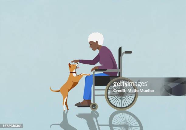 ilustraciones, imágenes clip art, dibujos animados e iconos de stock de senior woman in wheelchair petting cute dog - mujeres ancianas solamente