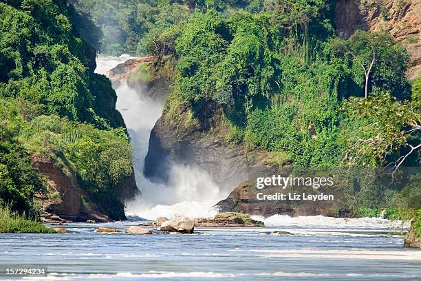 murchison falls, uganda - murchison falls national park stock pictures, royalty-free photos & images