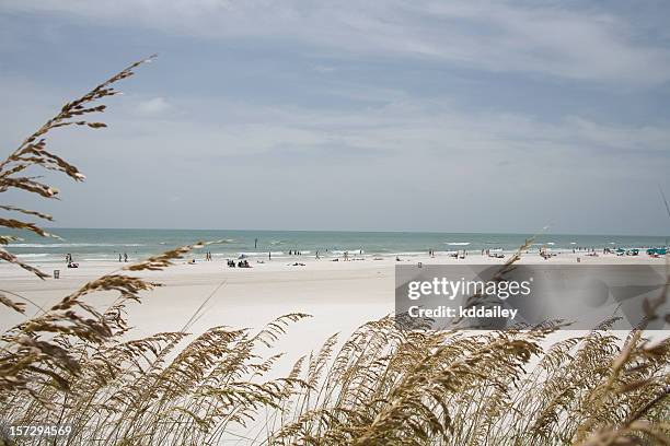 clearwater beach, florida - clearwater florida foto e immagini stock