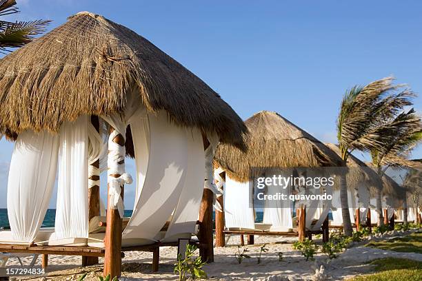 beach paradise with cabanas and palm trees, copy space - pergola 個照片及圖片檔