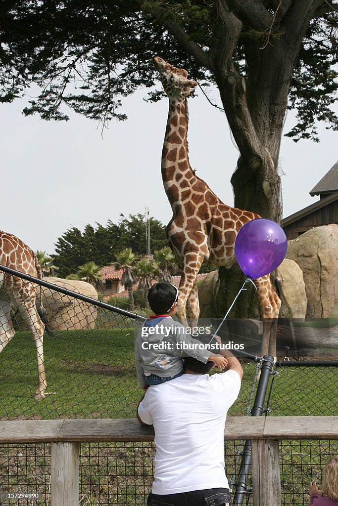 Family day at the zoo