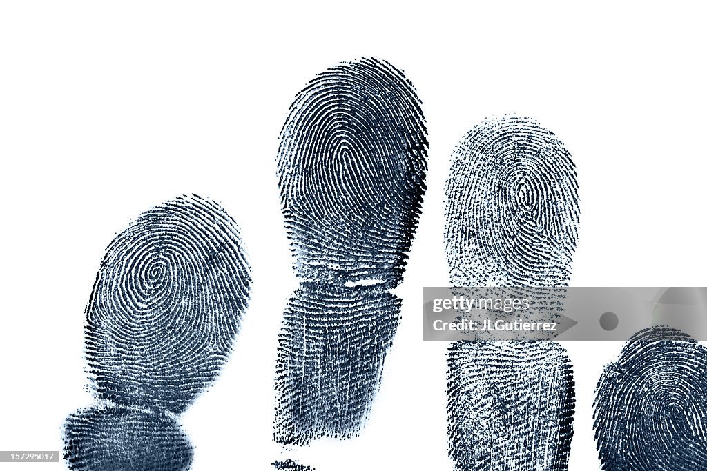 Four full length finger prints on white paper