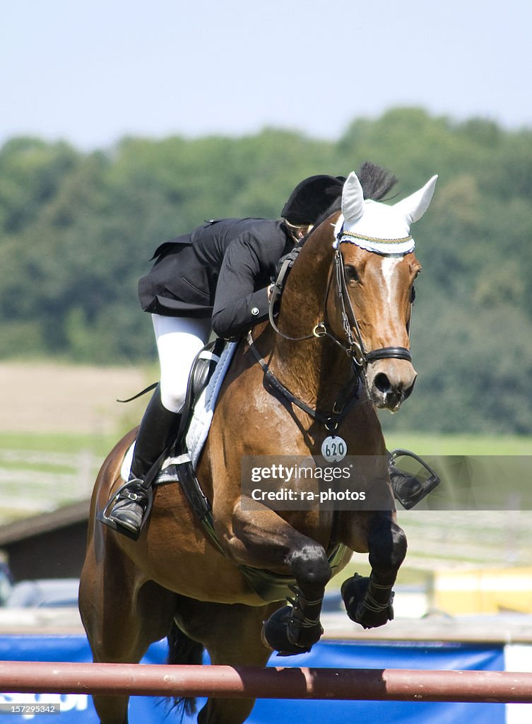 Show jumping