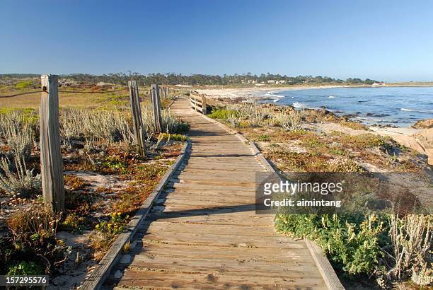 boardwalk at spanish bay of monterey in california - monterrey stock pictures, royalty-free photos & images