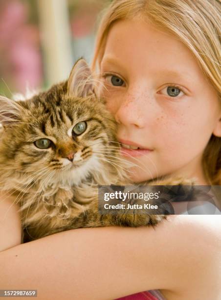 close up of young girl hugging kitten - cor do olho humano imagens e fotografias de stock