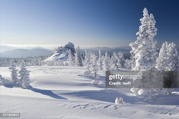 winterpark. sheregesh. - sheregesh photos et images de collection