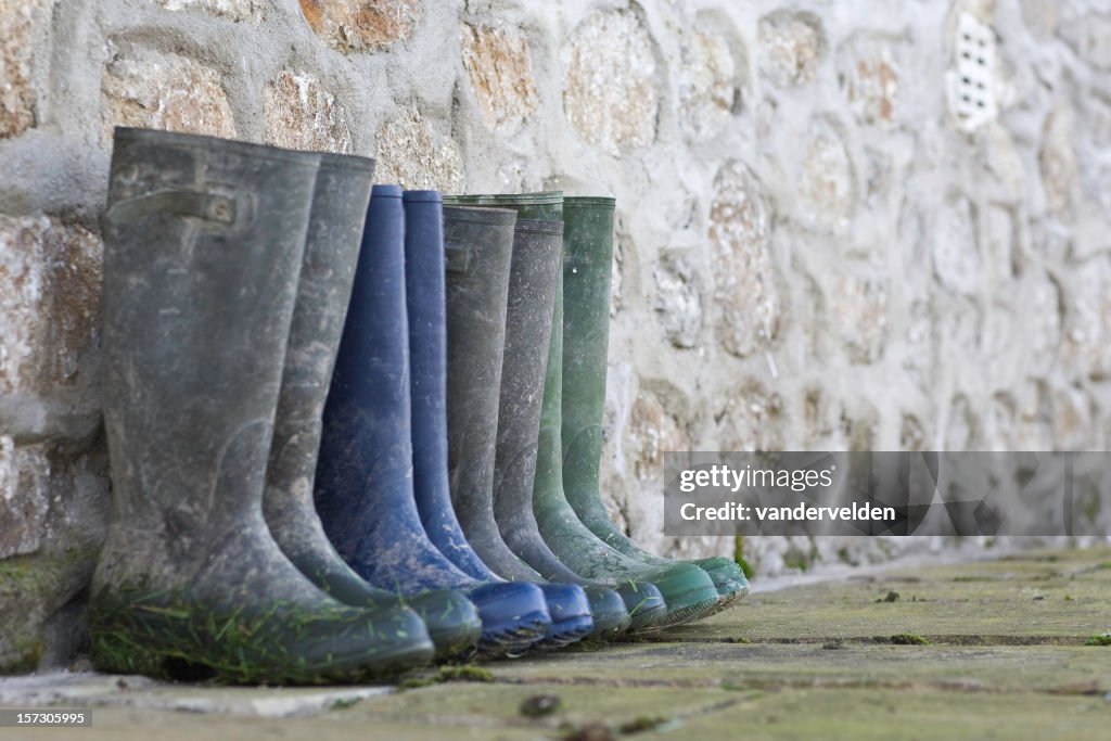 Wellington Boots