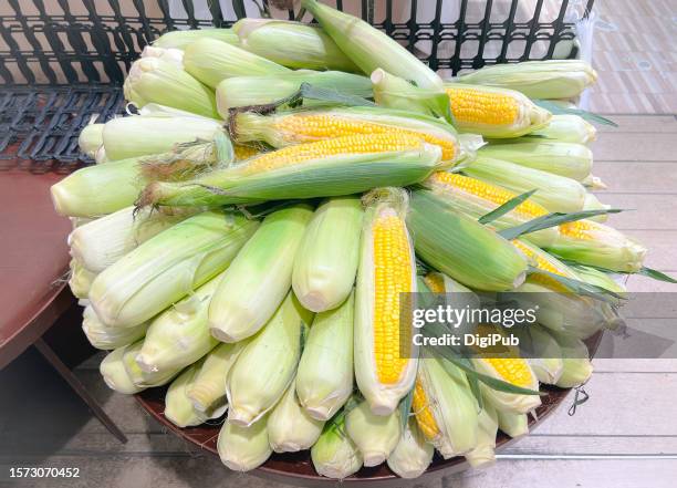 fresh corn - husk stock pictures, royalty-free photos & images
