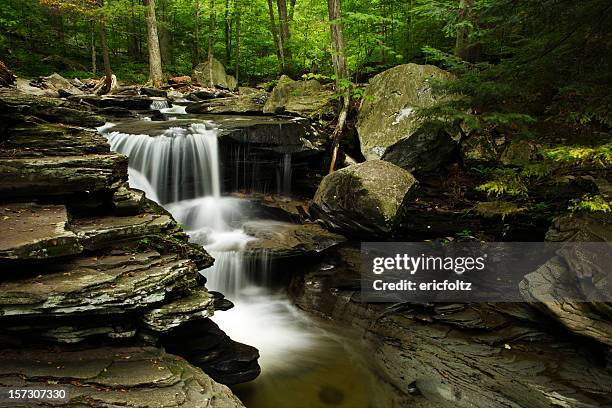 ricketts glen - ricketts glen state park stock pictures, royalty-free photos & images