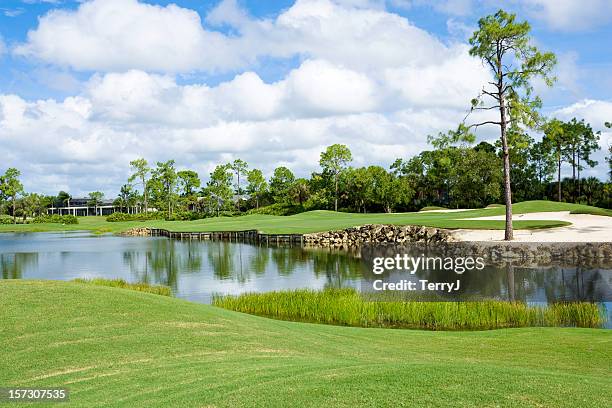 campo de golf - nápoles florida fotografías e imágenes de stock