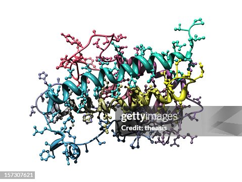 Model of Human Growth Hormone Model of Human Growth Hormone