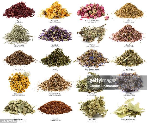 dry flowers and herbs.xxxl. - passion flower stock pictures, royalty-free photos & images